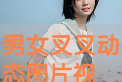 男女叉叉的视频,叉叉视频中的欢乐时光