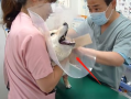 医院打针视频,揭秘医院打针瞬间