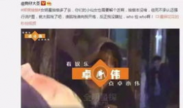 1000部啪啪视频,揭秘啪啪视频背后的情感与欲望