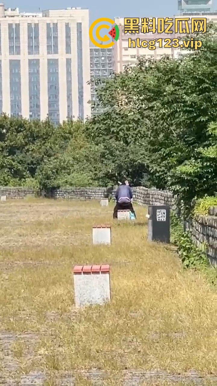 南京城墙惊现激情戏！大爷大妈公园打野战，瓜友带朋友全程目瞪口呆！-6